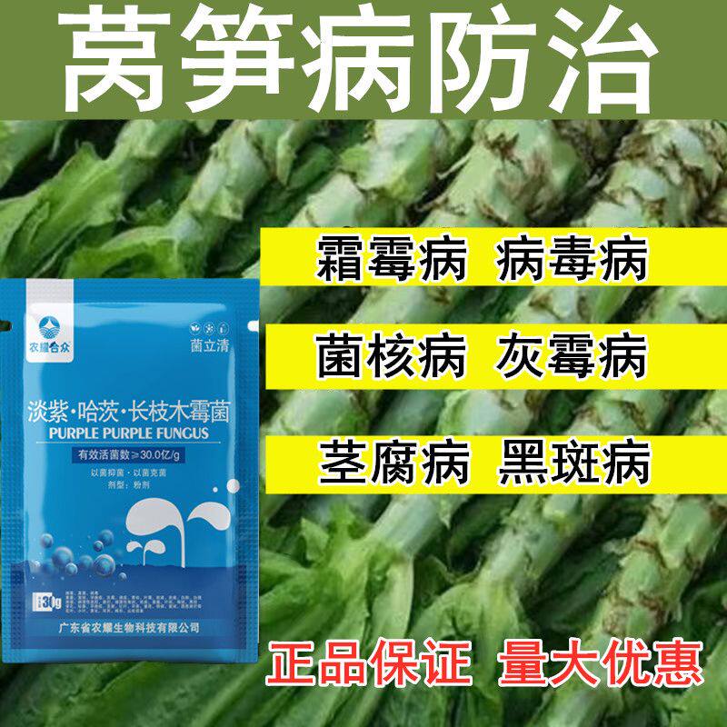 莴苣莴笋病专用药病毒病霜霉病窝笋专用膨大素炭疽病软腐病叶斑病
