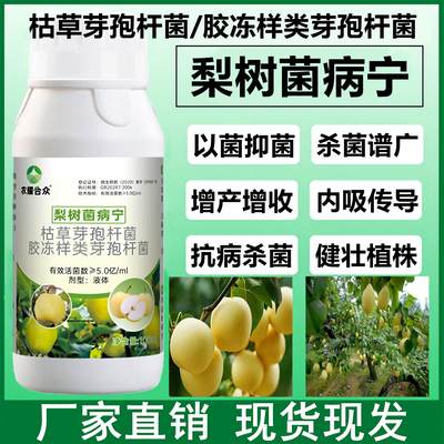 梨树锈病专用药治叶斑病