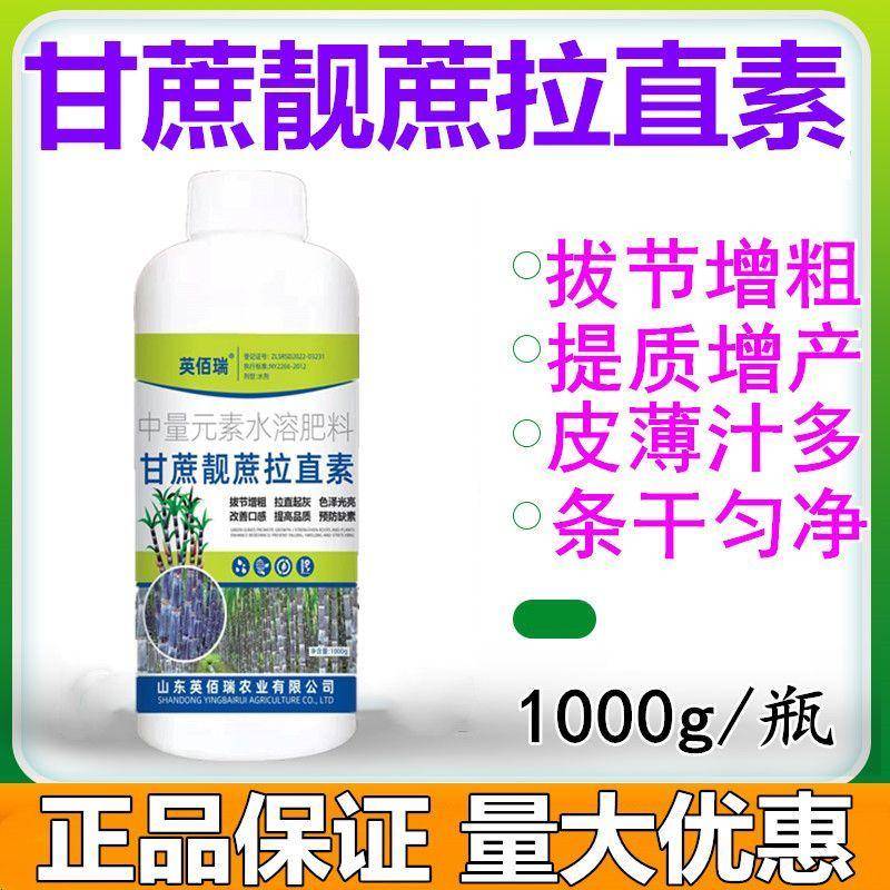 甘蔗增甜剂 增粗药抗倒拔节药甘蔗壮丰素非复合肥 甘蔗专用叶面肥