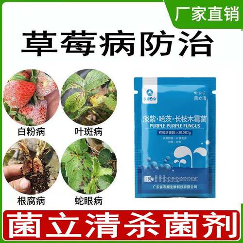 草莓杀菌剂专用增产套餐防治蛇眼病红肿病炭疽病褐斑灰霉病白粉病