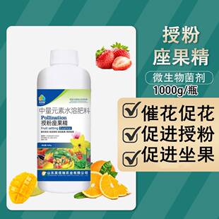 果树叶面肥促花催花座果灵百香果荔枝龙眼柑桔保花保果专用药