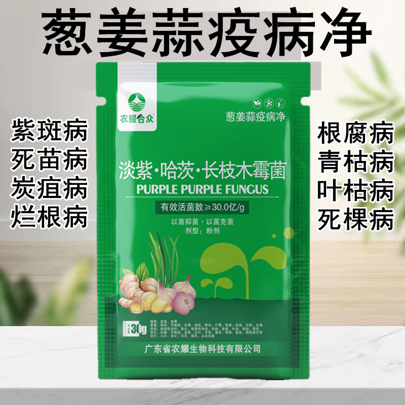 葱姜蒜先锋干尖灵大蒜苗大葱锈病专用药黄叶病药防病杀菌剂叶面肥