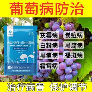 葡萄专用药杀菌剂白腐病炭疽病软腐病霜霉病灰霉病防烂果烂穗落果