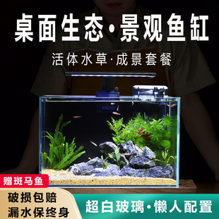 鱼缸桌面小型生态造景全套客厅鱼缸电视柜玄关家用免换水超白草缸