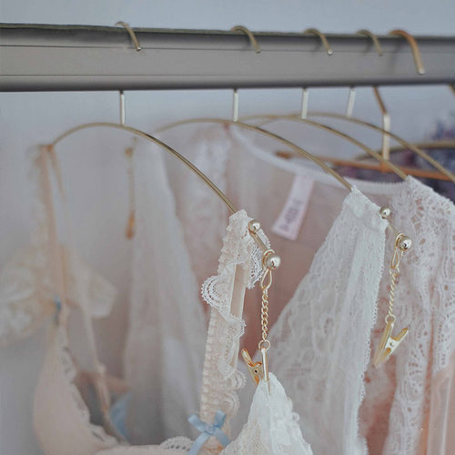 不止收纳家用金属内衣裤专用晾衣架防滑带夹子胸罩内裤文胸展示架