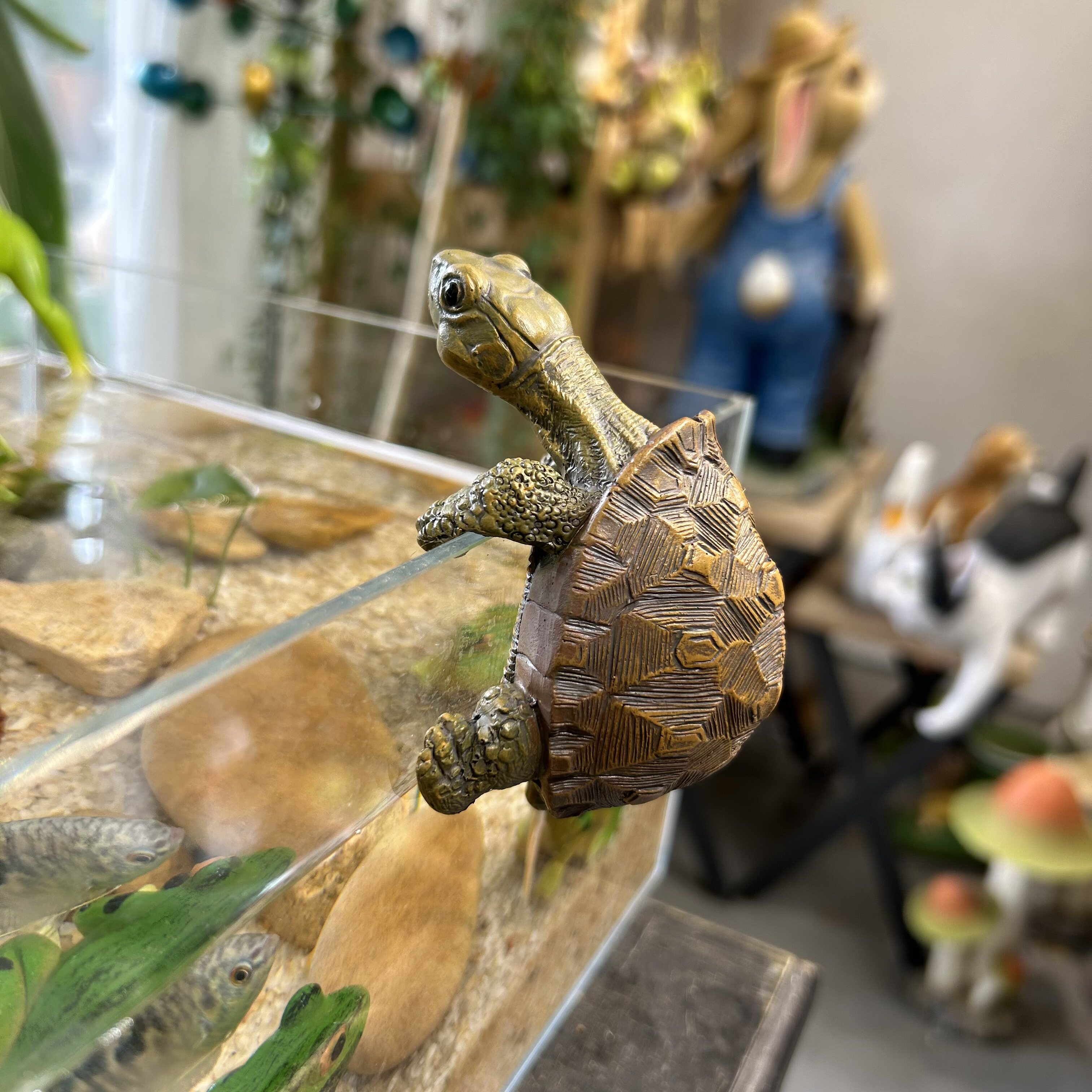 乌龟盆钓鱼缸水族箱庭院中式