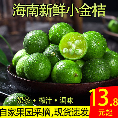 新鲜海南奶茶店专用包邮小金桔