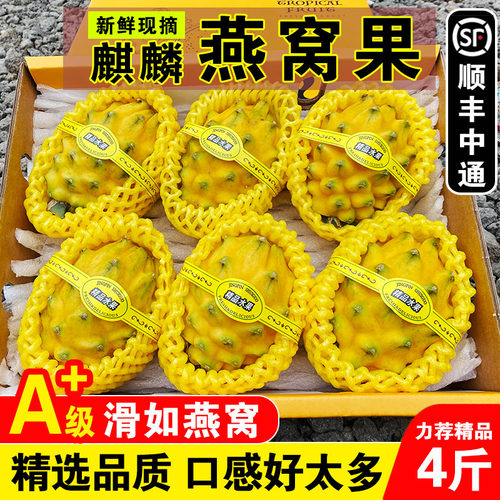 海南应季黄色皮热带特产麒麟果