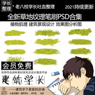 建筑景观设计效果图分析图素材 全新草地纹理笔刷PSD合集