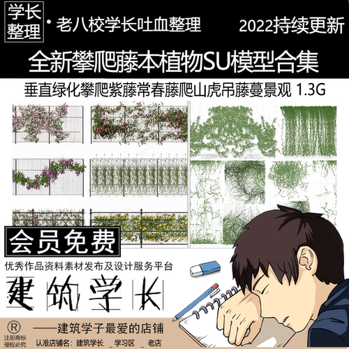 全新攀爬藤本植物SU模型合集 垂直绿化紫藤常春藤爬山虎藤蔓景观