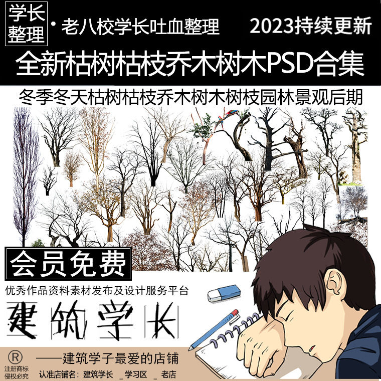 全新乔木树木树枝psd合集 冬季冬天枯树枯枝园林景观后期