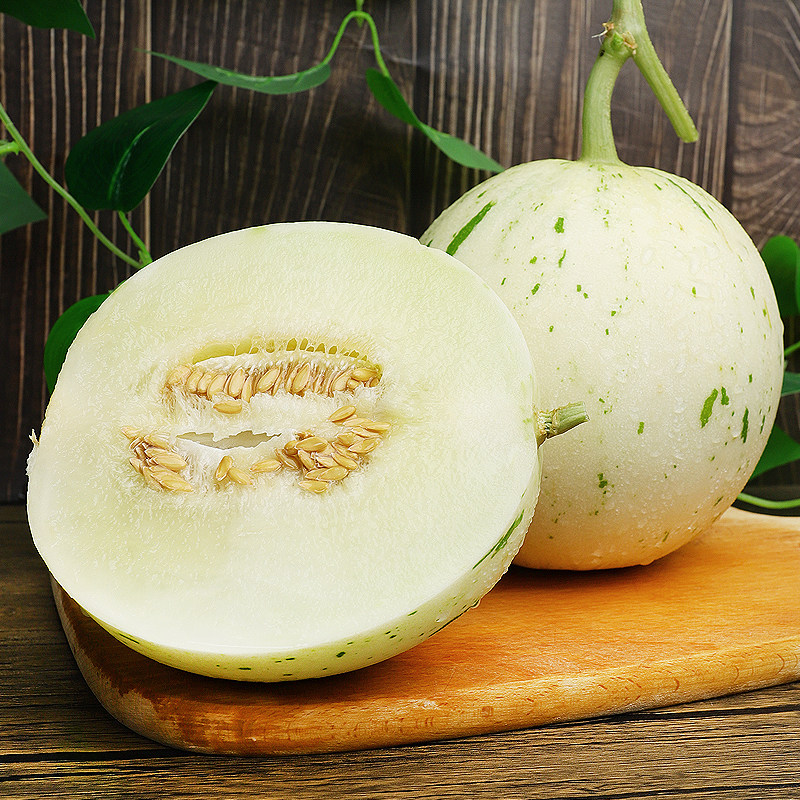 山东月露流星蜜瓜4.5斤现摘