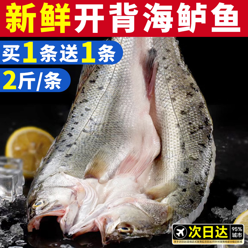 限时买1送1！海鲈鱼烤鱼半成品