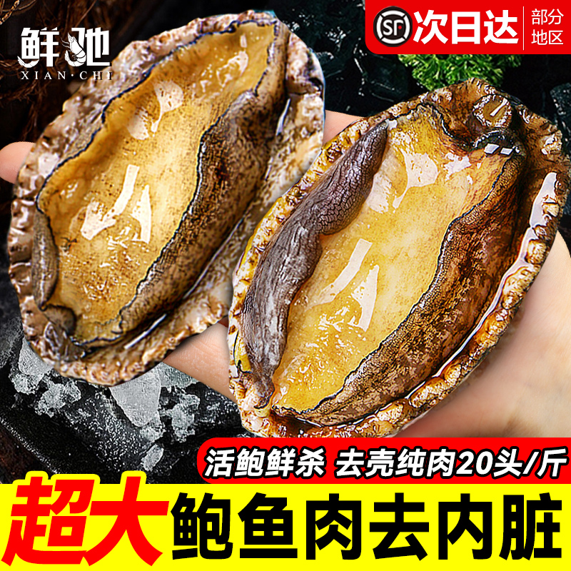 鲍鱼肉鲜活冷冻去牙去壳新鲜活鲍现剥去内脏火锅食材500g海鲜水产