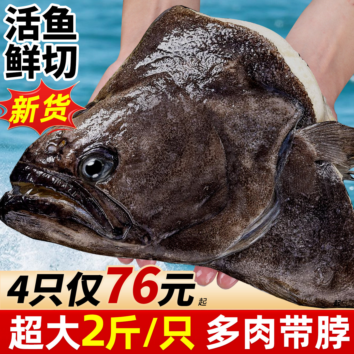 鸦片鱼头鲽鱼新鲜冷冻碟鱼头特大深海雅片鱼头蝶鱼比目鱼海鲜商用