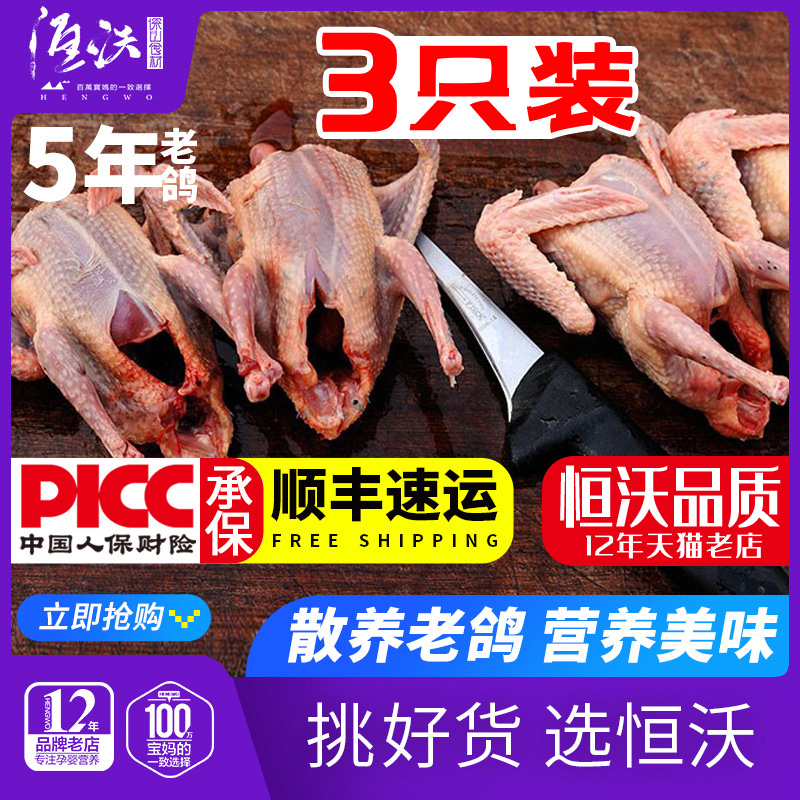 精选5年老鸽子新鲜鸽子肉散养3只