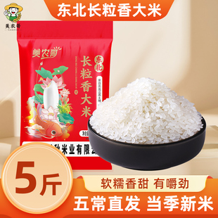 东北长粒香大米正宗黑龙江当季 农家新米5斤粳米5kg鲜米粥米