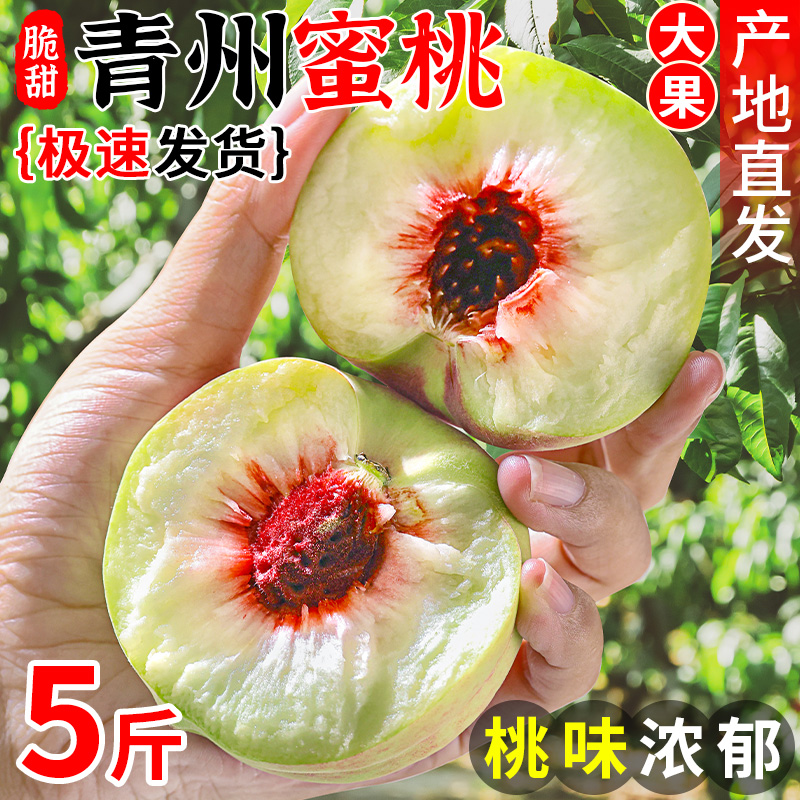 正宗青州蜜桃山东水蜜桃新鲜时令水果当季现摘整箱小脆桃送货上门