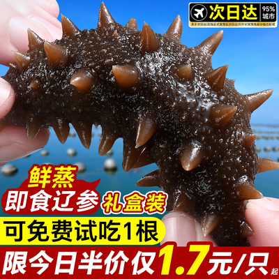 大连海参即食刺参礼盒淡干辽参鲜活野生海渗独立包装袋官方店铺