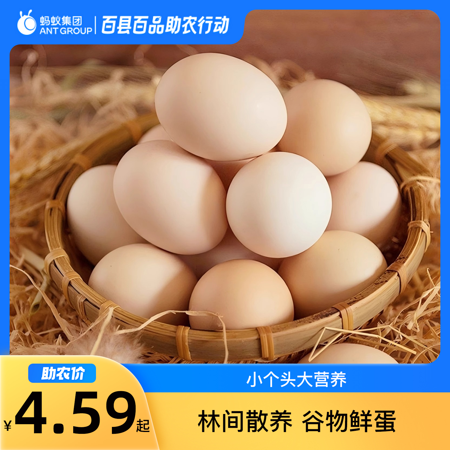 新鲜谷物鸡蛋喂养农家散养粉壳蛋鲜鸡蛋营养笨鸡蛋现捡现发