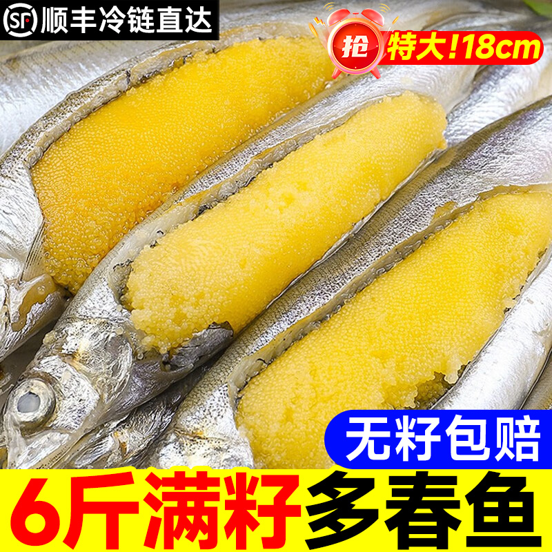 多春鱼满籽新鲜人吃籽鱼冷冻海鲜水产鲜活超特大海鱼烧烤食材商用