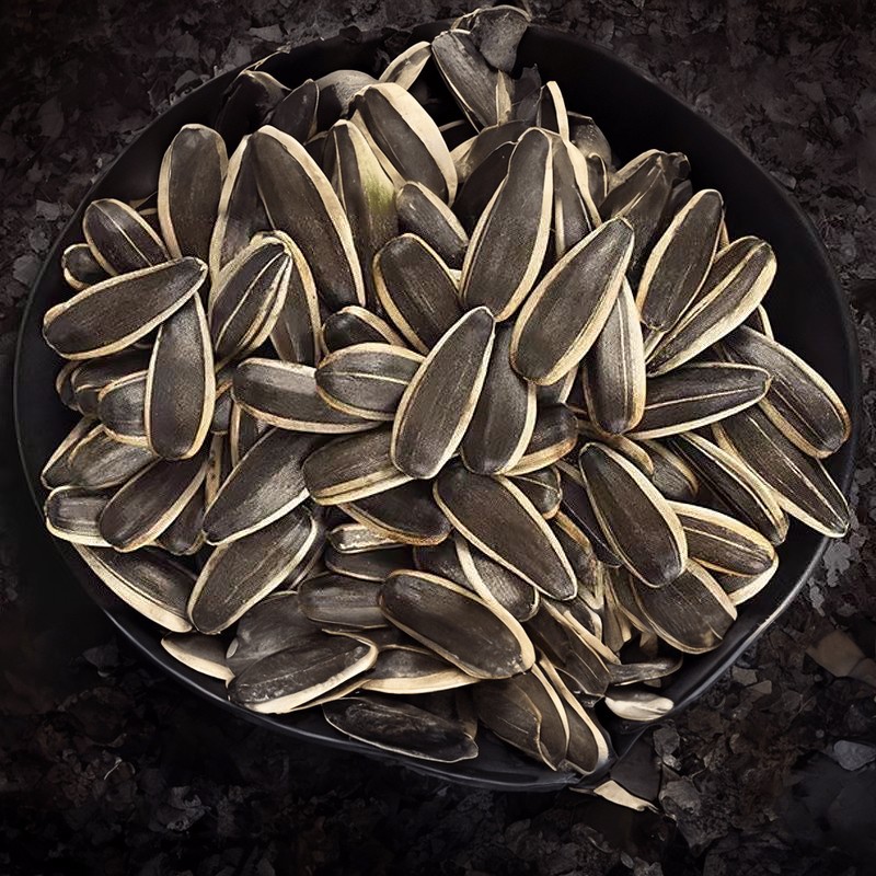 百县百品内蒙商都县瓜子