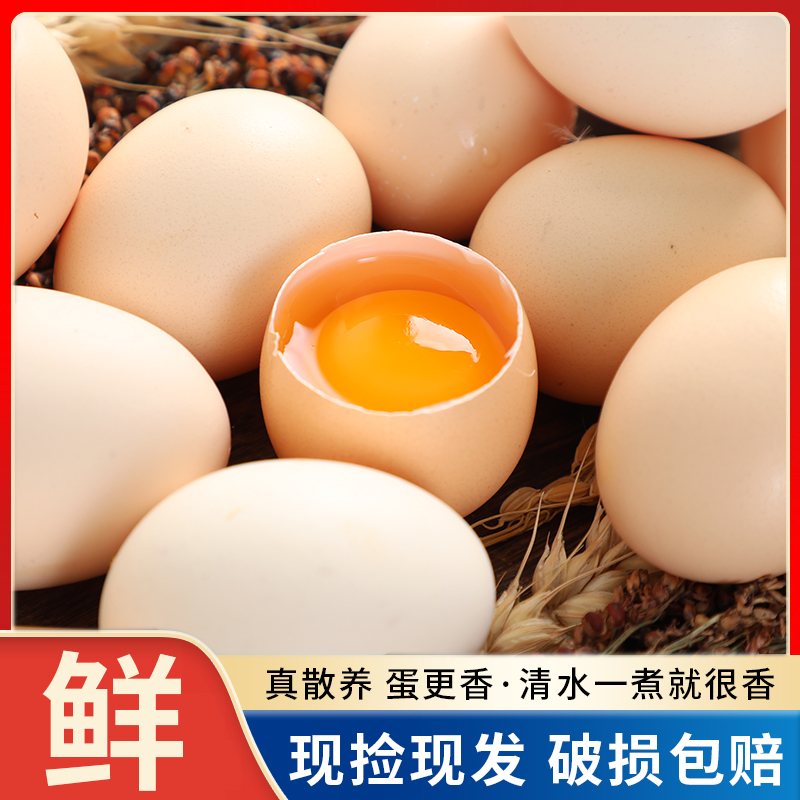 倚竹林正宗新鲜农家土鸡蛋散养生鸡蛋柴鸡蛋鸡蛋笨鸡蛋45g/枚