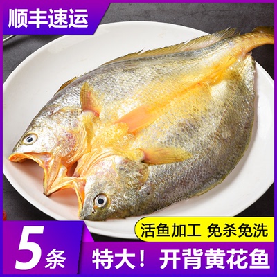 黄鱼鲞新鲜冷冻大黄鱼黄花鱼三去生鲜宁德小黄鱼海鲜鱼类海鱼商用