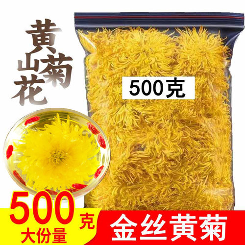 金丝皇菊金丝皇菊黄山菊花