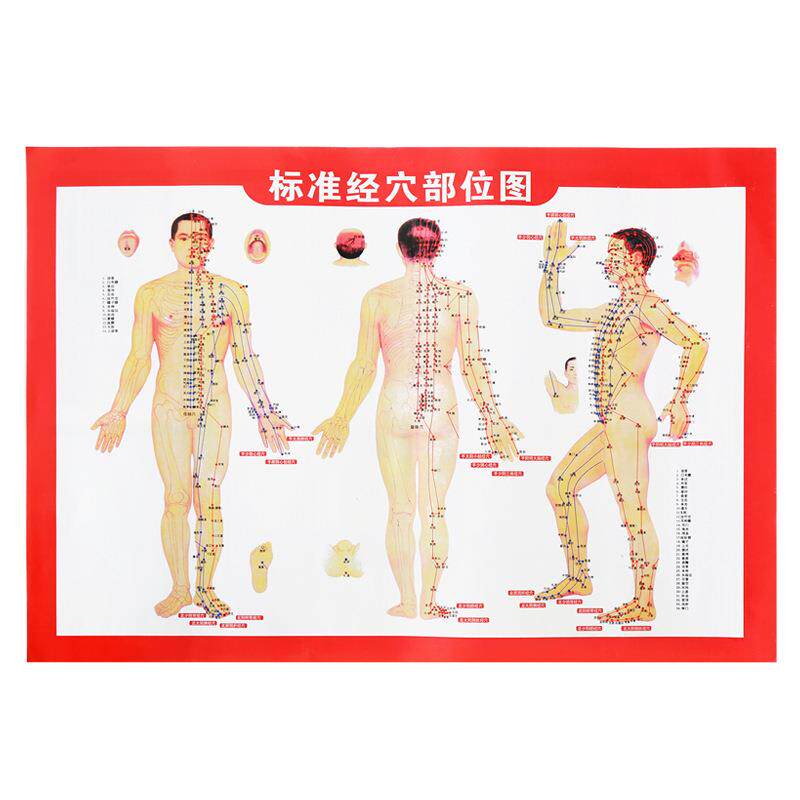 穴位图人体经络穴位图艾灸说明图双面印刷艾灸图针灸图定制