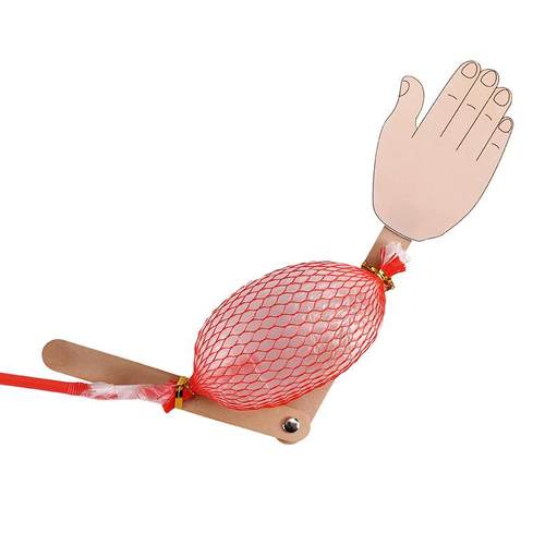 科技小制作发明骨骼与肌