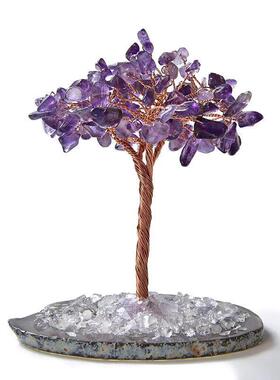 直销天然招财树钱袋树发财树摇钱树商务礼品摆件定制