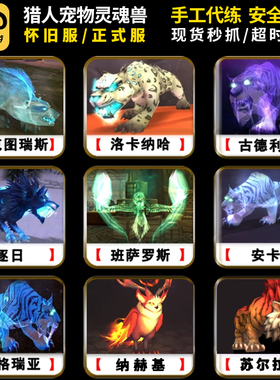 魔兽世界代练抓灵魂兽正式服猎人宝宝宠物苏尔拉卡血咽怀旧服大角