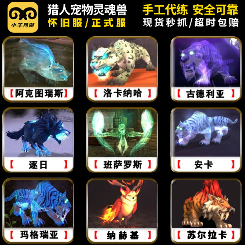 魔兽世界代练抓灵魂兽正式服猎人宝宝宠物苏尔拉卡血咽怀旧服大角