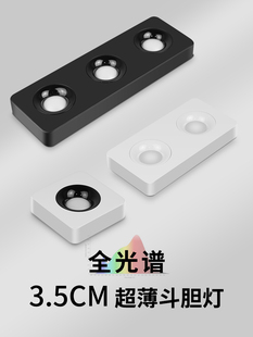 筒灯超薄单头双头三头免吊顶无主灯客厅卧室照明吸顶防眩斗胆 明装