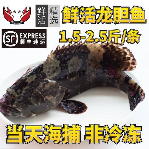 当天海捕，非冷冻