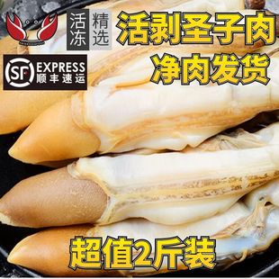 大连蛏子王新鲜肉现剥1000g蛏子鲜活竹节蛏海鲜大蛏王冷冻包邮