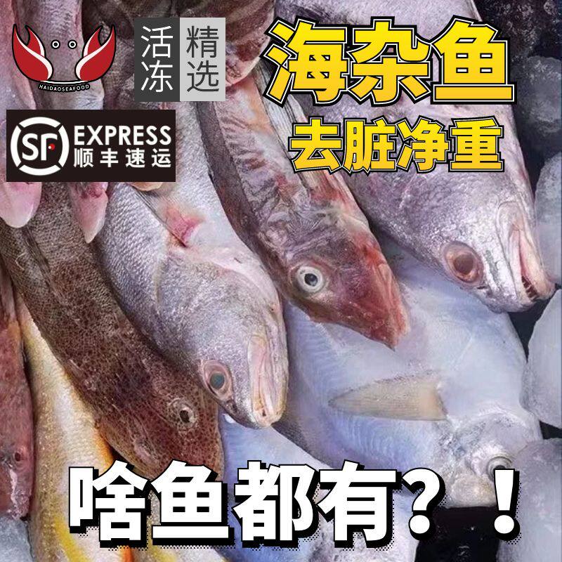 湛江海杂鱼新鲜海水杂鱼冷冻小杂鱼深海鱼海鲜免清洗去脏杂鱼