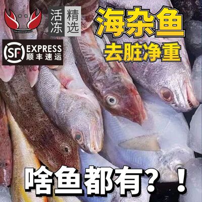 湛江海杂鱼新鲜海水杂鱼冷冻小杂鱼深海鱼海鲜免清洗去脏杂鱼