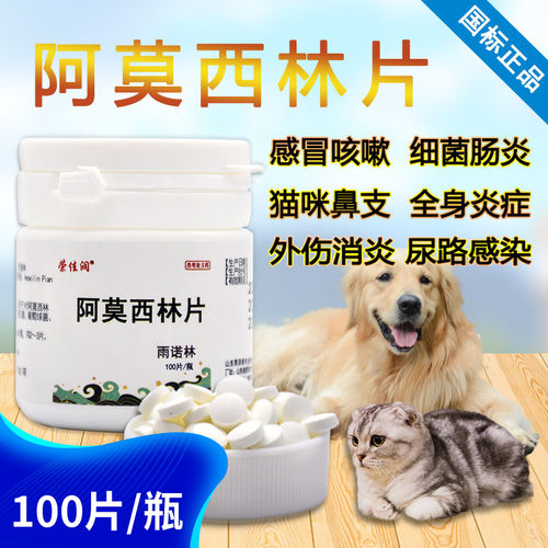 阿莫西林猫咪猫鼻支兽用感冒药