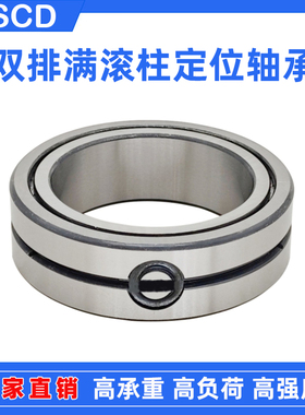 双排满装圆柱滚子轴承SL014910 4912 4914 4916 4918 4920 4922