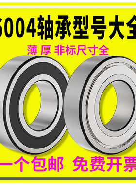 6004轴承63004加厚16004非标内径20 21 22 25厚8 10 12 16 24 mm