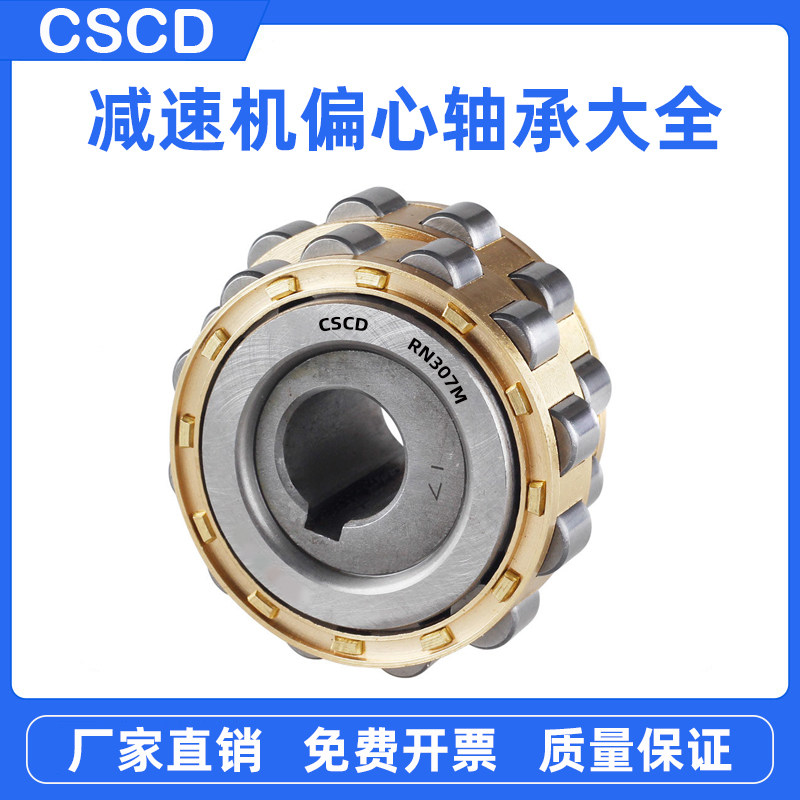 减速机偏心轴承配件RN204 205 206 307 309 312 219 222 228M摇摆
