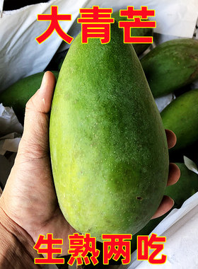 越南大青芒大青芒果桂美禾芒果