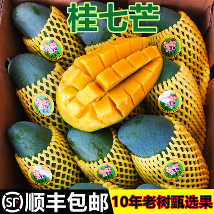 广西桂七芒正宗百色田东桂七芒果热带水果当季新鲜青皮芒大果包邮