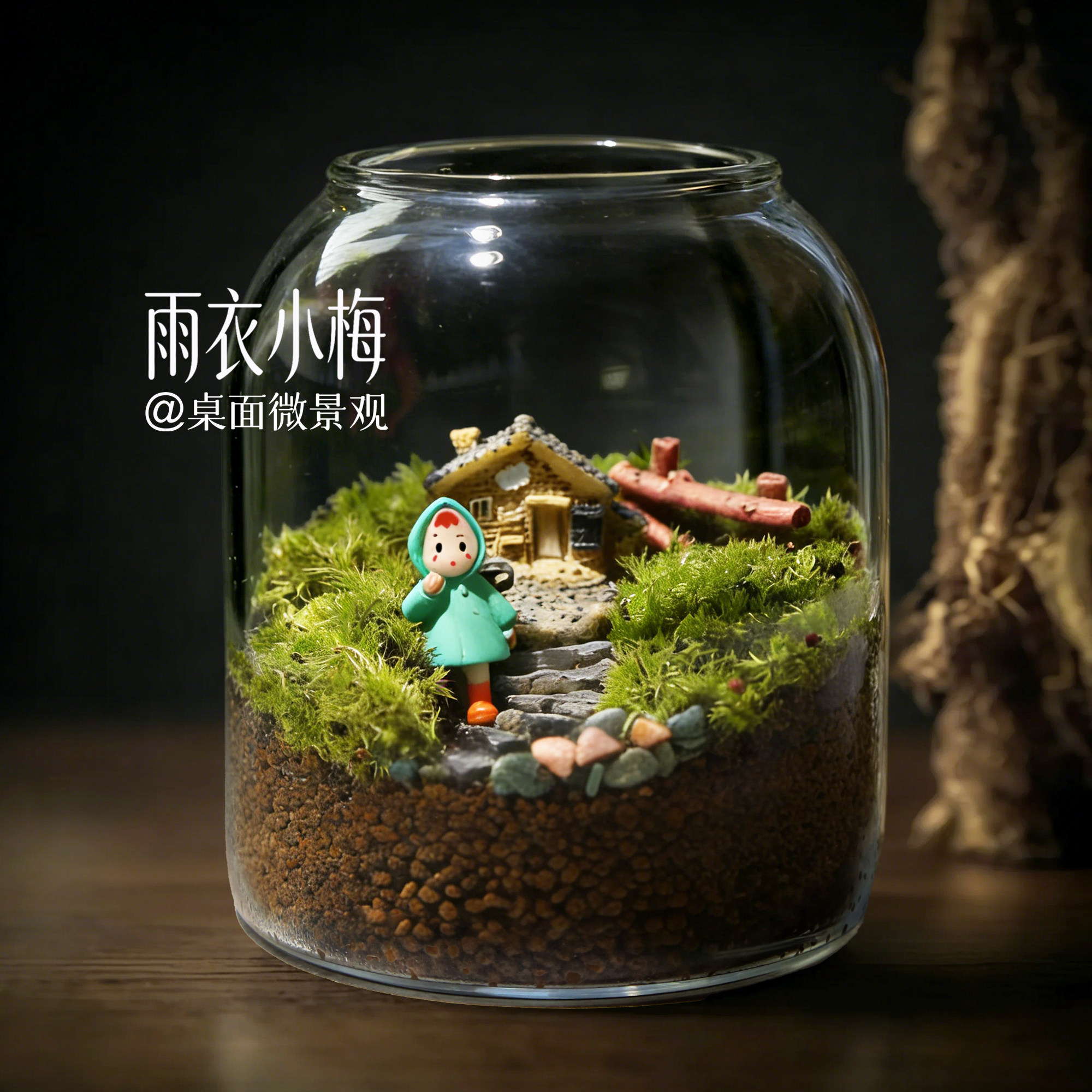 雨衣小梅苔藓微景观玻璃罐森林小屋手工DIY玻璃装饰摆件桌面小景