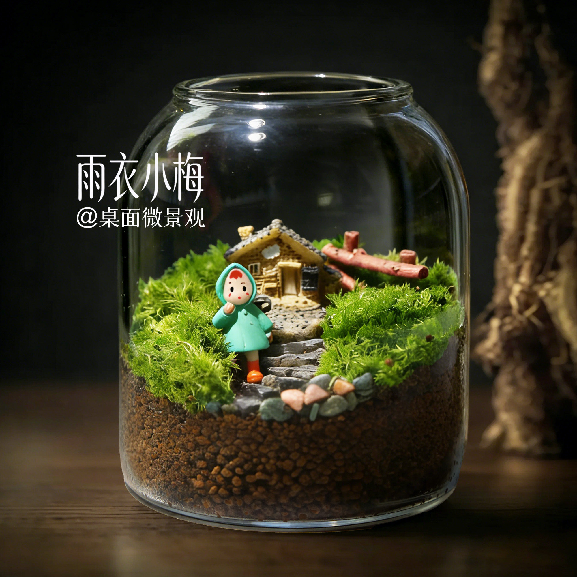 雨衣小梅苔藓微景观玻璃罐森林小屋手工DIY玻璃装饰摆件桌面小景