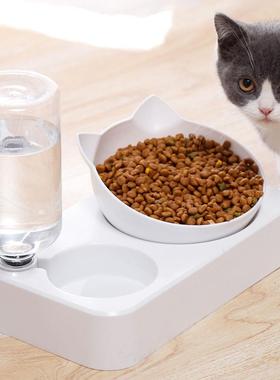 Pet Bowl Automatic Feeder Dog Cat Food Bowl with Water Dispe