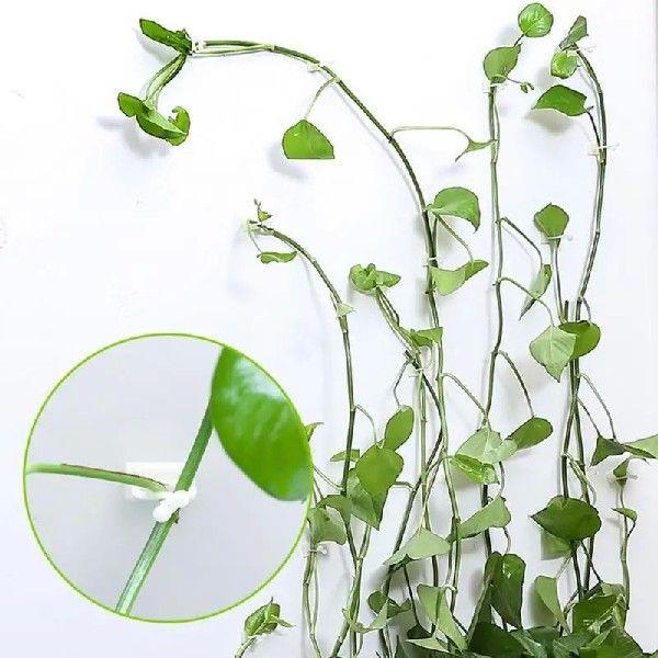 3 Size Invisible Wall Rattan Clamp Clip Plant Climbing Wall
