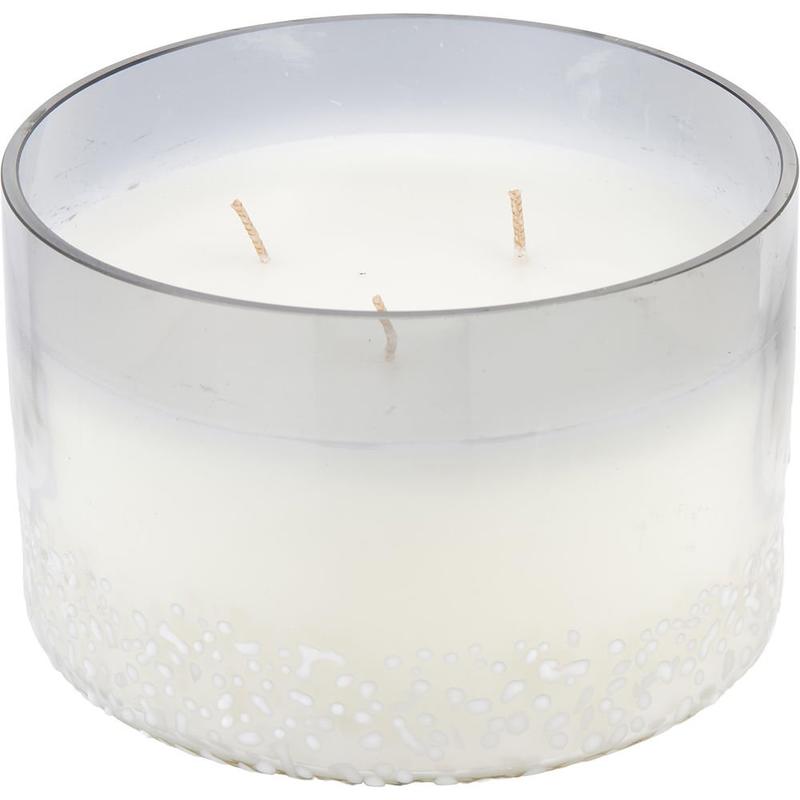 -BALSAM& BIRCH SCENTED; VALE SOY WAX BLEND CANDLE- 28 OZ